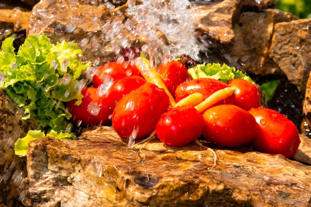 El precio de frutas y verduras volvió a subir y marca un 11,1% de aumento