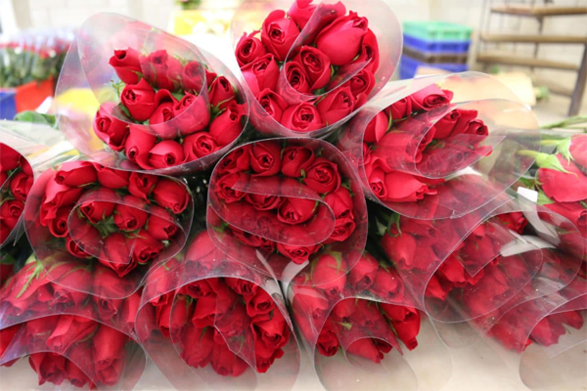 La importación de flores en Miami sube 6 % para San Valentín tras "sobrevivir" a aranceles