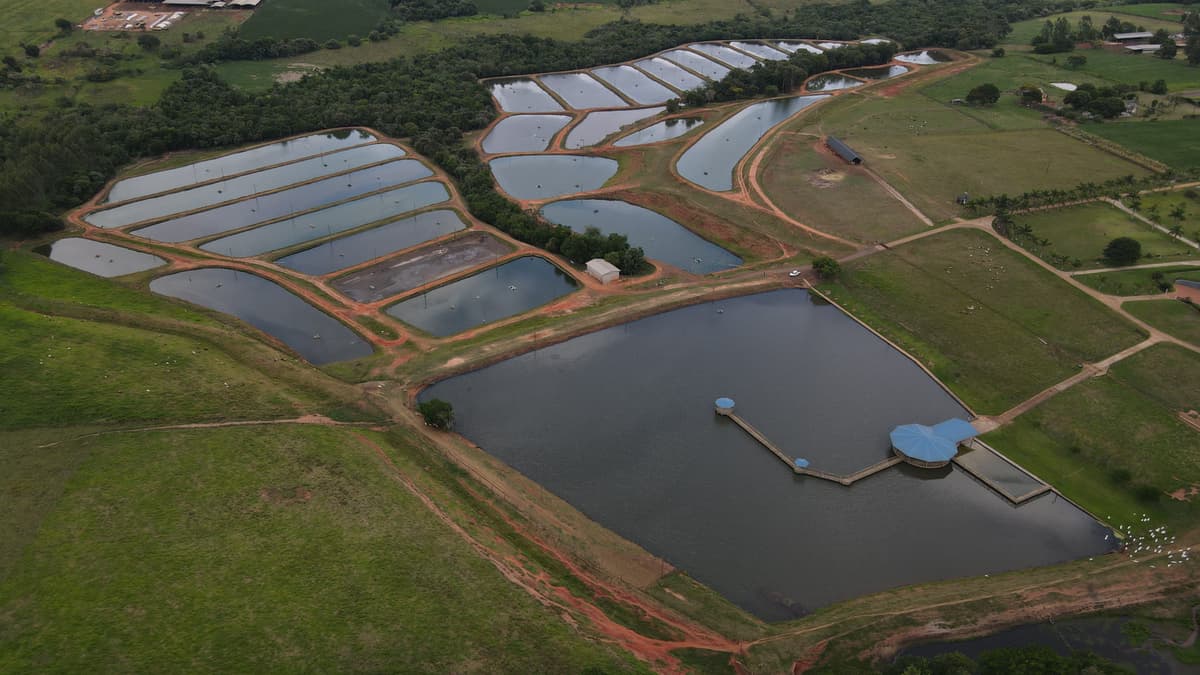 Piscicultura gana terreno como alternativa rentable y sostenible en Paraguay