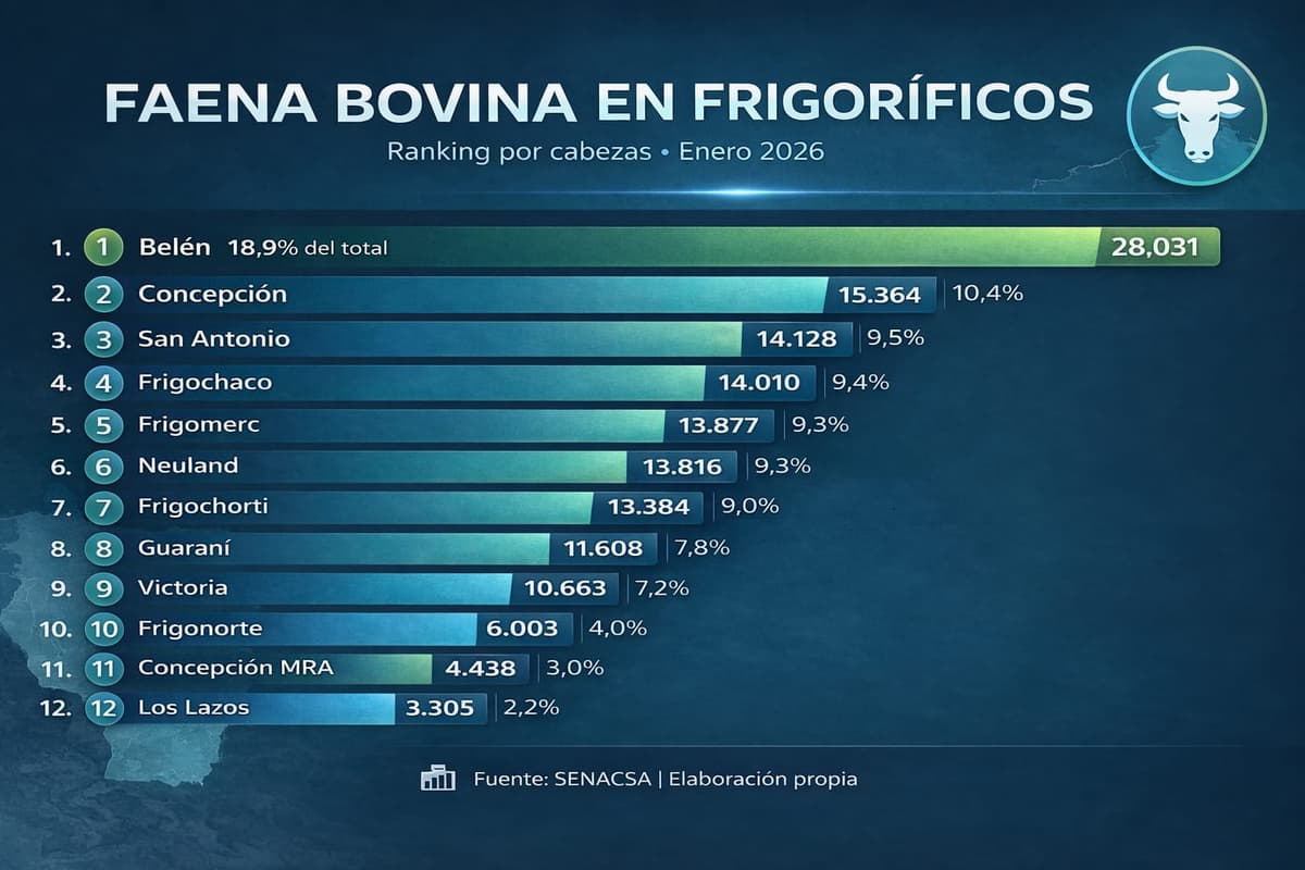 75,8% de la faena bovina queda en manos de siete frigoríficos bajo investigación